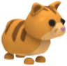 Ginger Cat