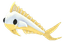 Gold Mahi Mahi