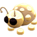 Golden Ladybug