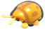 Golden Tortoise Beetle