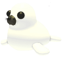Harp Seal