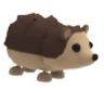 Hedgehog