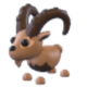 Ibex