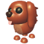 Irish Setter