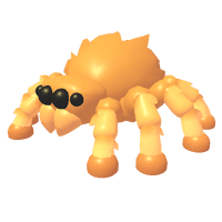 Jumping Spider