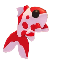 Koi Carp