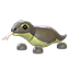 Komodo Dragon
