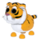Lunar Tiger