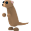 Meerkat