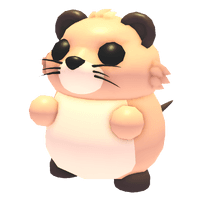 Muskrat