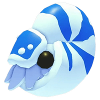 Nautilus