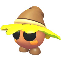 Oakee Wizard
