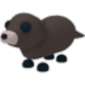 Otter