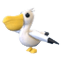 Pelican