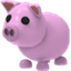 Pig