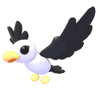 Pilot Gull