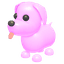 Pink Dog