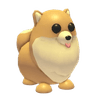 Pomeranian