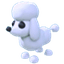 Poodle