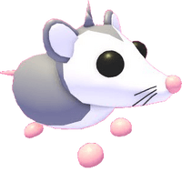 Possum