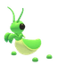Praying Mantis