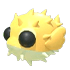 Puffer Fish