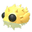 Puffer Fish