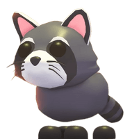 Raccoon