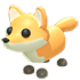 Red Fox