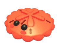 Red Sand Dollar