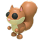 Red Squirrel