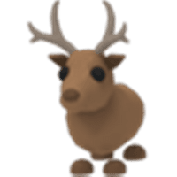 Reindeer