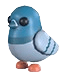 Rock Pigeon