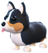 Royal Corgi