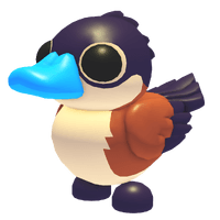 Ruddy Duck