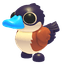 Ruddy Duck