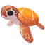 Sea Turtle