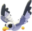 Seagull