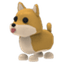 Shiba Inu