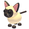 Siamese Cat
