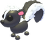 Skunk