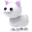 Snow Cat