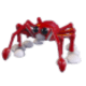 Spider Crab