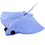 Stingray