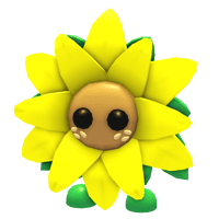 Sunflower Friend