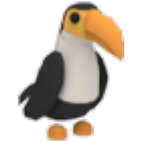 Toucan