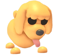 Toy Poodle