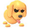 Toy Poodle