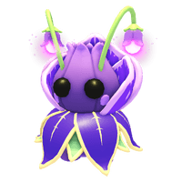 Violet Friend