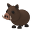 Wild Boar